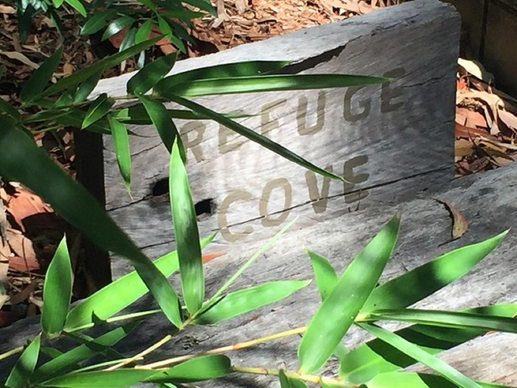 Refuge Cove On Pittwater Apartman Clareville Kültér fotó